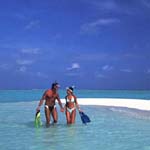 Paradise Island