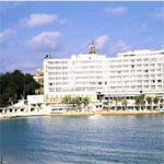 Helnan Palestine 3