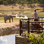 Belmond Savute