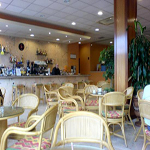 Palas Pineda