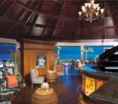 Secrets Wild Orchid