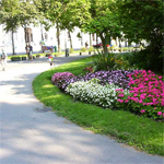 Rathauspark 11