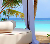 Beach Oasis