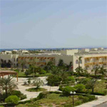 Desert Rose 2