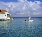 Vivanta By Taj - Coral Reef