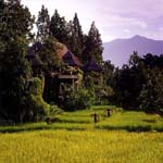 Four Seasons Resort Chiang Mai