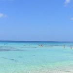 Viva Dominicus Palace