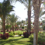 Hilton Resort Hurghada 14