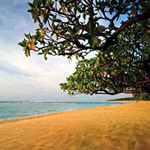 GHB - Beach Front