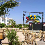 Dreams Beach 11