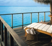 Vivanta By Taj - Coral Reef