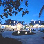 Banyan Tree