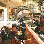 EL Gezirah Sheraton 13