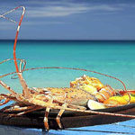 Katathani Thani Beach Resort & Spa