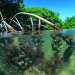 Antilles Islands_09
