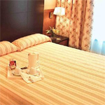 Carlton Plaza Andorra 14