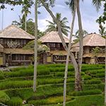 Kamandalu