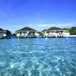 Paradise