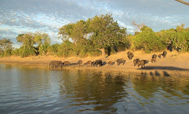 LUXE! Индивидуальный тур - Мыс Доброй Надежды, Дикая природа Ботсваны и Водопад Виктория