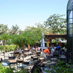 Hilton Sharm Dreams 12