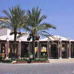Reef Oasis 8