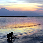 Moyo Island