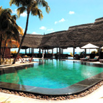 Royal Palm