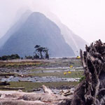 4Milford-Sound