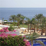 The Ritz Carlton 11