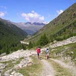 Grauer Bar 17