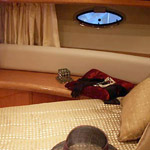 Sunseeker 6