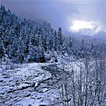 29Mt.-Hood