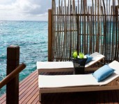 Vivanta By Taj - Coral Reef