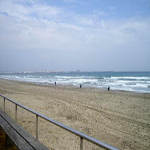 Palas Pineda