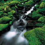 Antilles Islands_02
