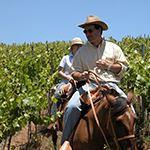 La Casona at Matetic