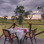 Elephant Pepper Camp