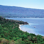 Amanwana