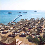 Reef Oasis 10