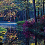 12Callaway-Gardens