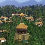 Ubud Hanging