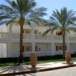 Reef Oasis 11