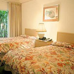 Hilton Kingston