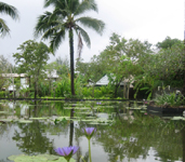 The Sarojin
