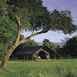 Little Governors Camp