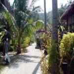 Phi Phi Island Village
