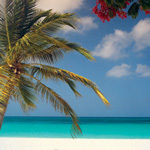 Divi Villaga Golf & Beach Resort