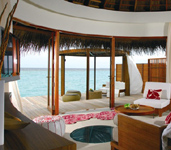 Ocean Oasis