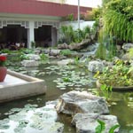 Amari Orchid Resort