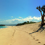 Moyo Island